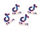 Серединка "TikTok з написом", 3,5см